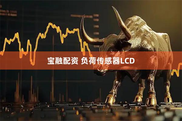 宝融配资 负荷传感器LCD