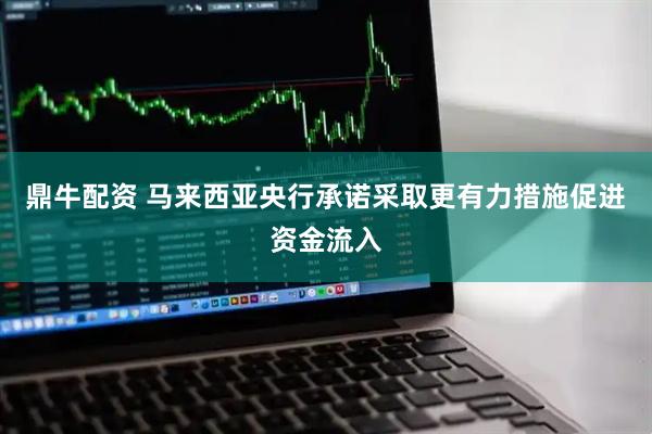 鼎牛配资 马来西亚央行承诺采取更有力措施促进资金流入